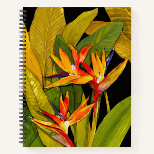 Bird of Paradise Notebook