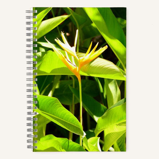 Bird of Paradise Notebook (Front)