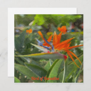 Bird of Paradise Oil Painting Card