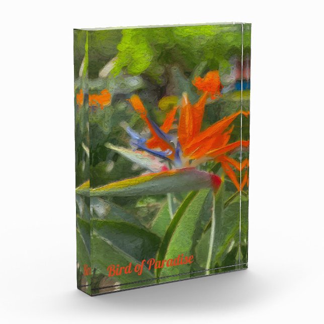 Bird of Paradise Oil Painting  Photo Block (Left)