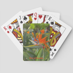 Bird of Paradise Oil Painting  Playing Cards
