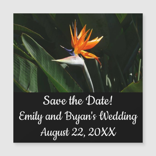 Bird of Paradise Orange Tropical Flower (Front)