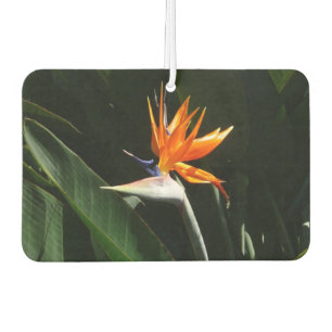 Bird of Paradise Orange Tropical Flower Car Air Freshener