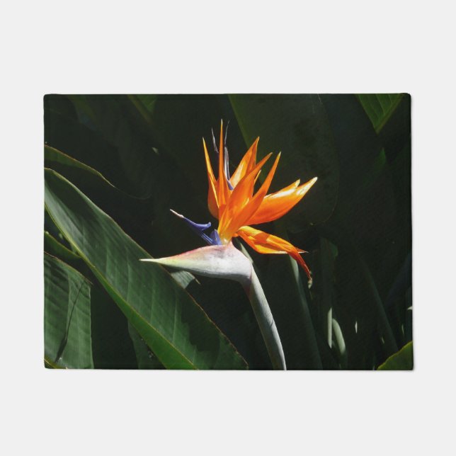 Bird of Paradise Orange Tropical Flower Doormat (Front)