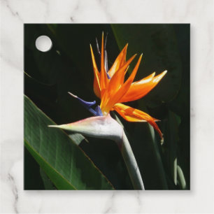 Bird of Paradise Orange Tropical Flower Favour Tags