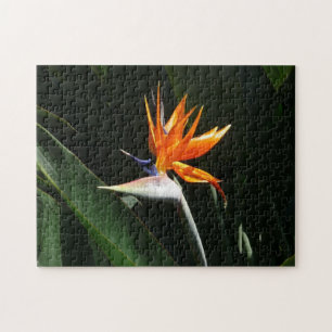 Bird of Paradise Orange Tropical Flower Jigsaw Puzzle