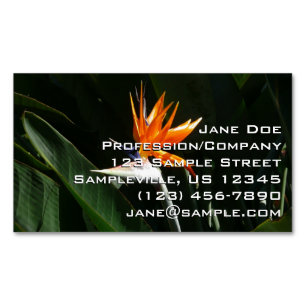 Bird of Paradise Orange Tropical Flower Magnetic Business Card