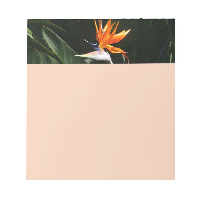 Bird of Paradise Orange Tropical Flower Notepad (Front)