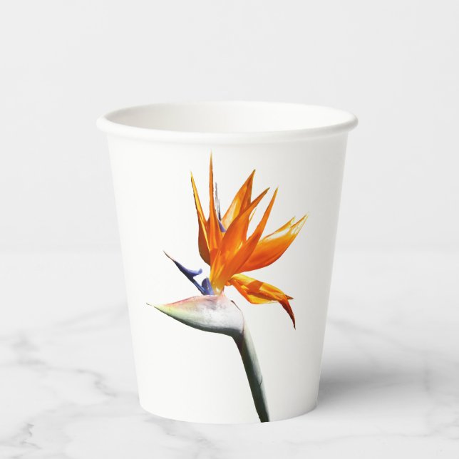 Bird of Paradise Orange Tropical Flower Paper Cups (Front)