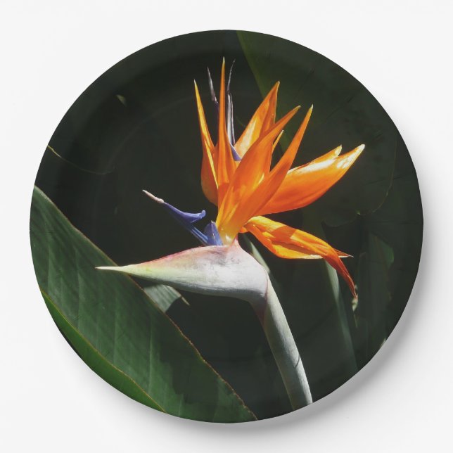 Bird of Paradise Orange Tropical Flower Paper Plate (Front)