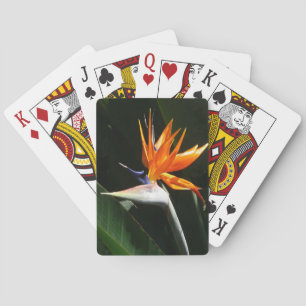 Bird of Paradise Orange Tropical Flower Playing Cards