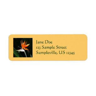 Bird of Paradise Orange Tropical Flower Return Address Label
