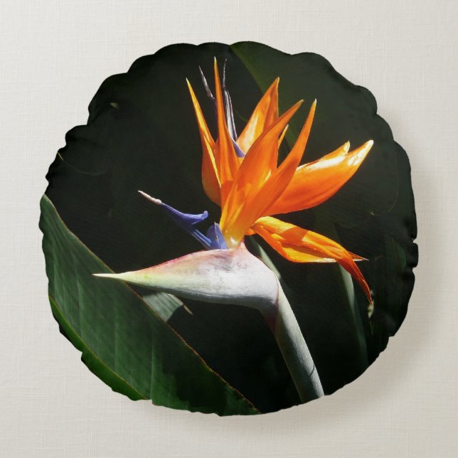 Bird of Paradise Orange Tropical Flower Round Cushion (Front)