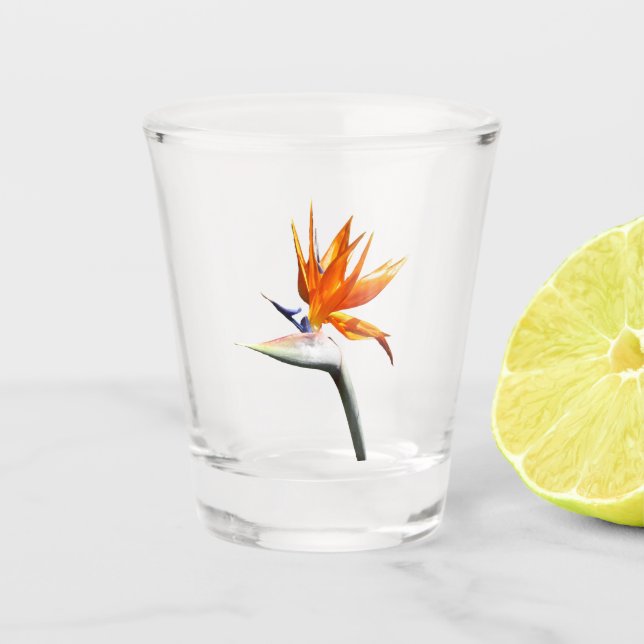 Bird of Paradise Orange Tropical Flower Shot Glass (Front)