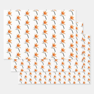 Bird of Paradise Orange Tropical Flower Wrapping Paper Sheet