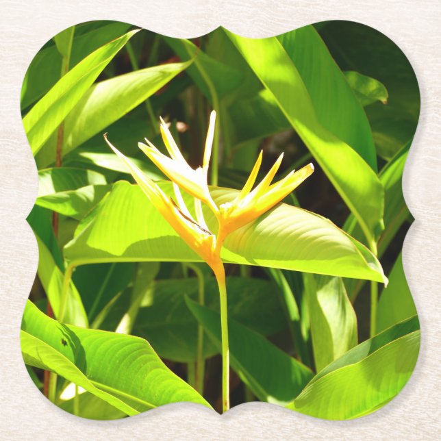 Bird of Paradise Paper Coaster (Front)