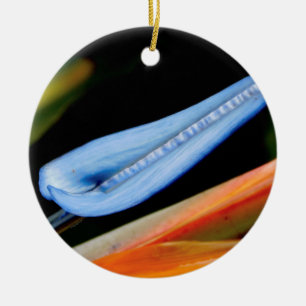 Bird of Paradise Photo Ceramic Ornament