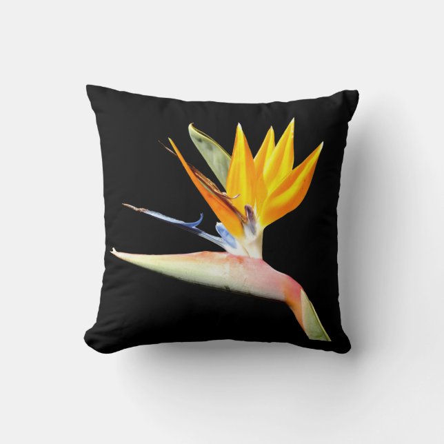 Bird of Paradise Plant Cushion (Front)