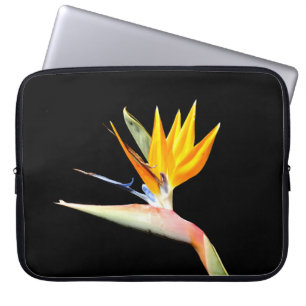 Bird of Paradise Plant Laptop Case