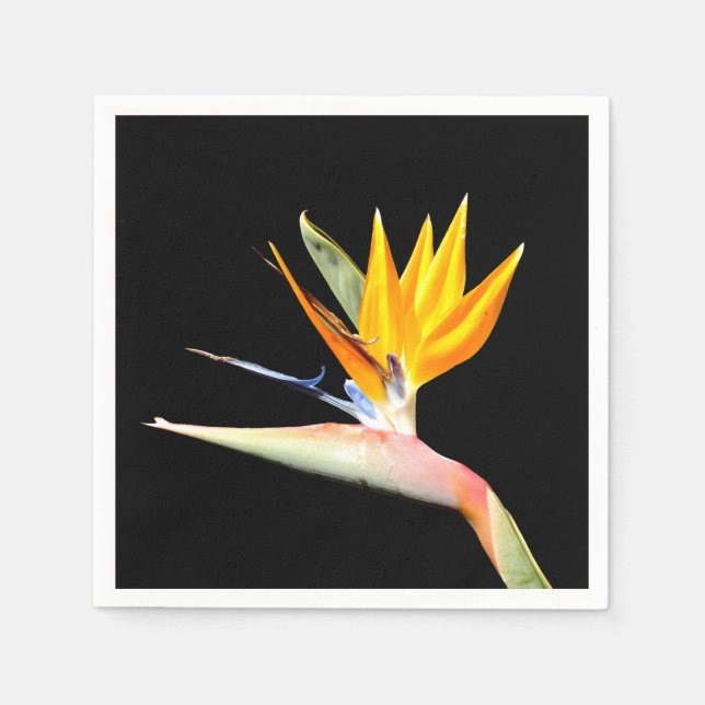 Bird of Paradise Plant Paper Napkins (Front)