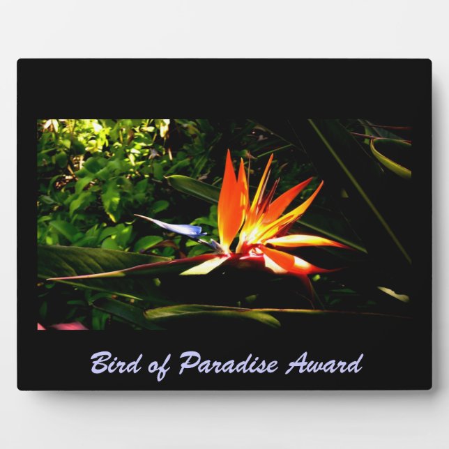 Bird of Paradise Plaque (Front)