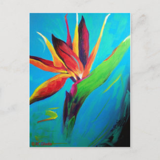 Bird of Paradise Postcard