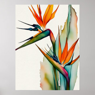 BIRD OF PARADISE Poster