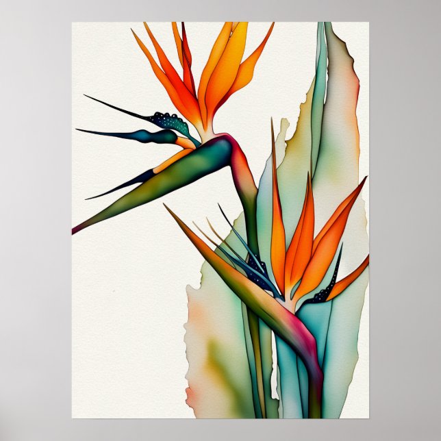 BIRD OF PARADISE Poster (Front)
