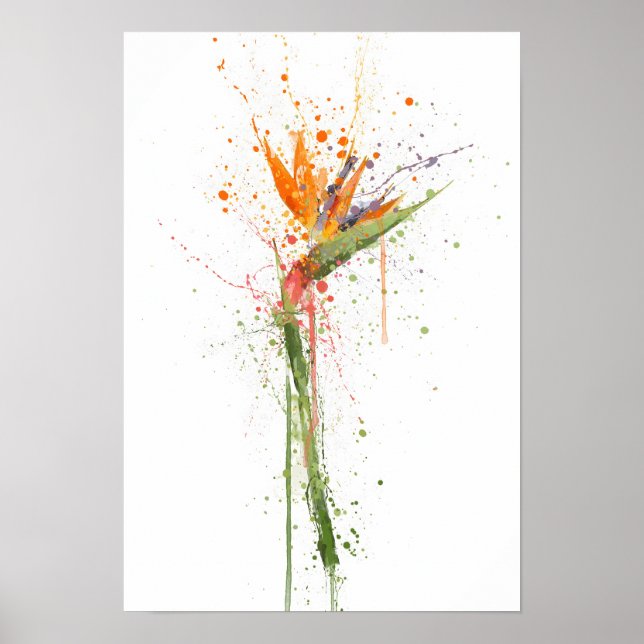 Bird of Paradise Poster (Front)