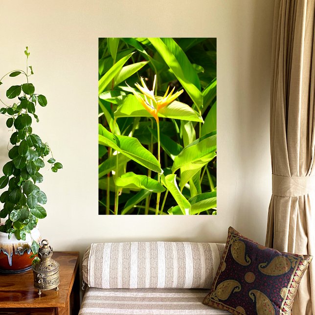 Bird of Paradise Poster (Creator Uploaded)