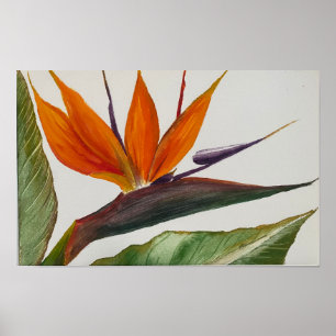 "Bird of Paradise" Poster