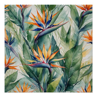 bird of paradise poster