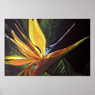 Bird of Paradise Poster