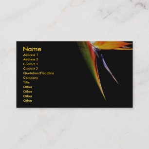 Bird-of-Paradise Profile Card