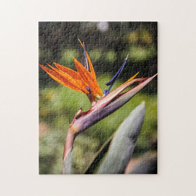 Bird of Paradise Puzzle (Vertical)