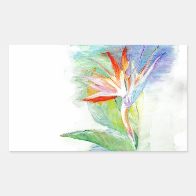 Bird of Paradise Rectangular Sticker (Front)