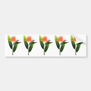 Bird of Paradise Silk Screen Bumper Sticker
