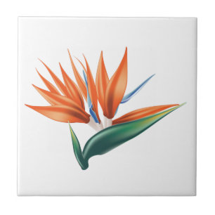 Bird of paradise, strelitzia exotic flower ceramic tile