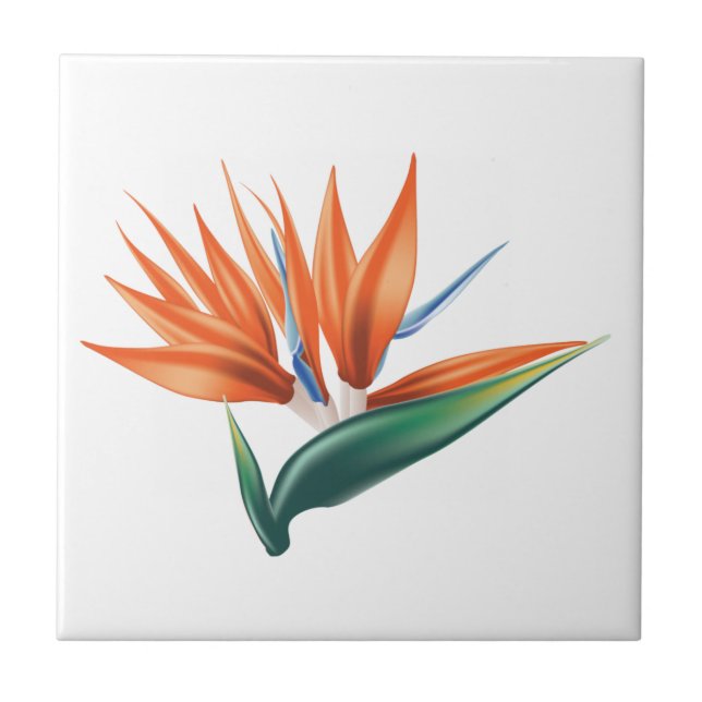 Bird of paradise, strelitzia exotic flower ceramic tile (Front)