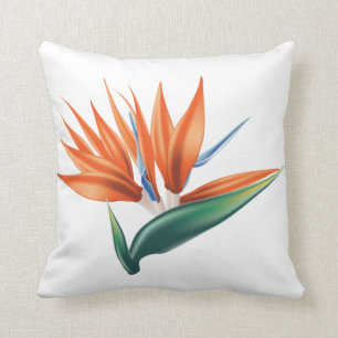 Bird of paradise, strelitzia exotic flower cushion