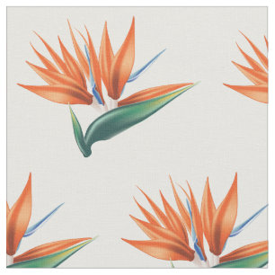 Bird of paradise, strelitzia exotic flower fabric