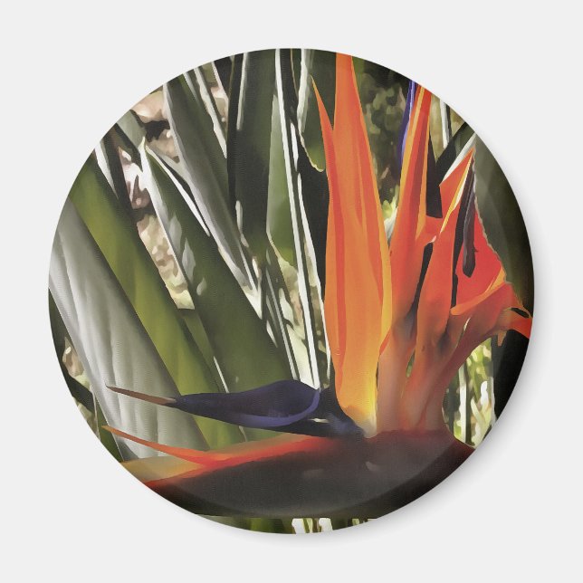 Bird of Paradise (Strelitzia) Magnet (Front)