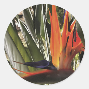 Bird of Paradise Strelitzia Reginae Acrylic Painti Classic Round Sticker