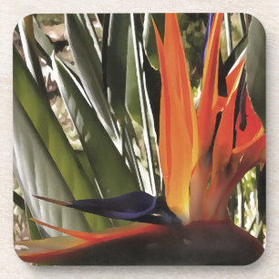 Bird of Paradise Strelitzia Reginae Acrylic Painti Coaster