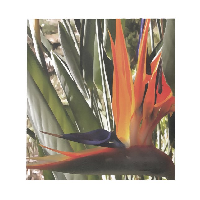 Bird of Paradise Strelitzia Reginae Acrylic Painti Notepad (Front)