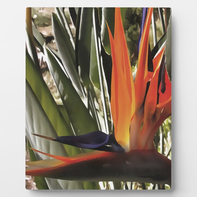 Bird of Paradise Strelitzia Reginae Acrylic Painti Plaque (Front)