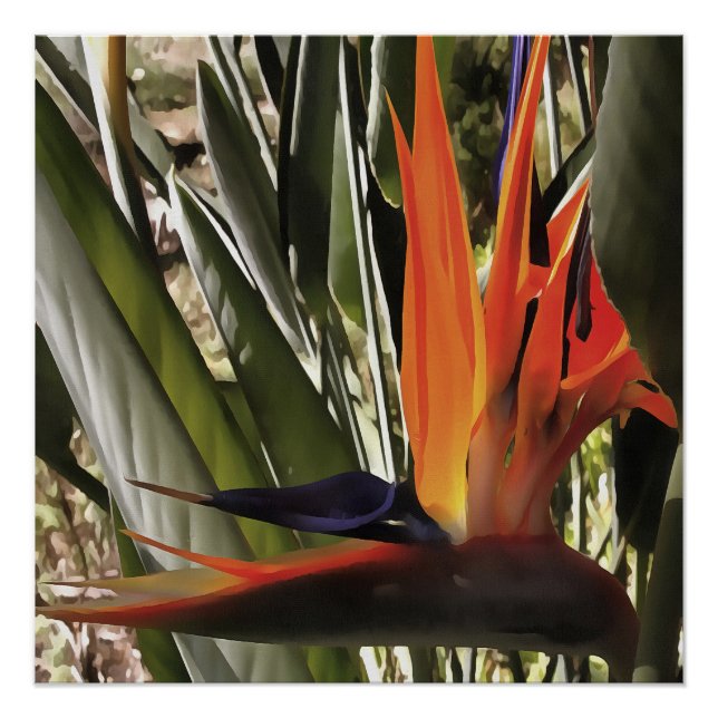Bird of Paradise Strelitzia Reginae Acrylic Painti Poster (Front)