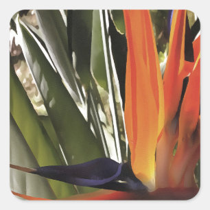 Bird of Paradise Strelitzia Reginae Acrylic Painti Square Sticker