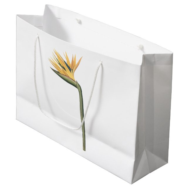 bird-of-paradise(Strelitzia reginae) by Redouté Large Gift Bag (Front Angled)