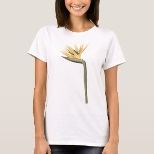 bird-of-paradise(Strelitzia reginae) by Redouté T-Shirt